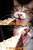 1067 posts au compteur