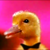 454 posts au compteur