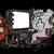 1163 posts au compteur