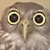 4790 posts au compteur
