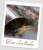 2826 posts au compteur