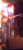 184 posts au compteur