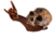 shamanico