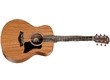 Taylor GS Mini (Mahogany Top) - Small with a good tone