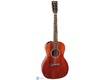 Takamine EF407