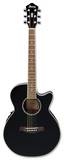 Ibanez AEG10BK