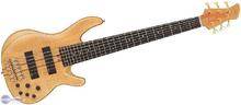 Yamaha TRB6II