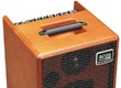Amplis Guitare Electro-Acoustique