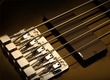 Autres Basses Electriques