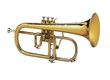 Bugles/Cornets/Flugelhorns