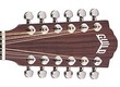 melody guitare 12 cordes