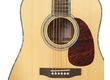 Guitares Acoustiques Folk Dreadnoughts