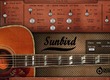 Virtual Guitars