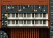 Virtual Organs