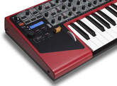Multifaceted Synthesis