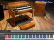 De beaux organs ?