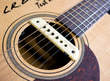 Guitare trip L.R. Baggs