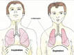 La respiration pour le chant