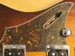 Tele sauce Ibanez