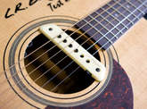 Guitare trip L.R. Baggs