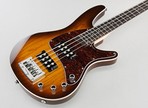 Muscle Bass