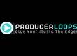 Producer Loops Ambient Metal Constructions