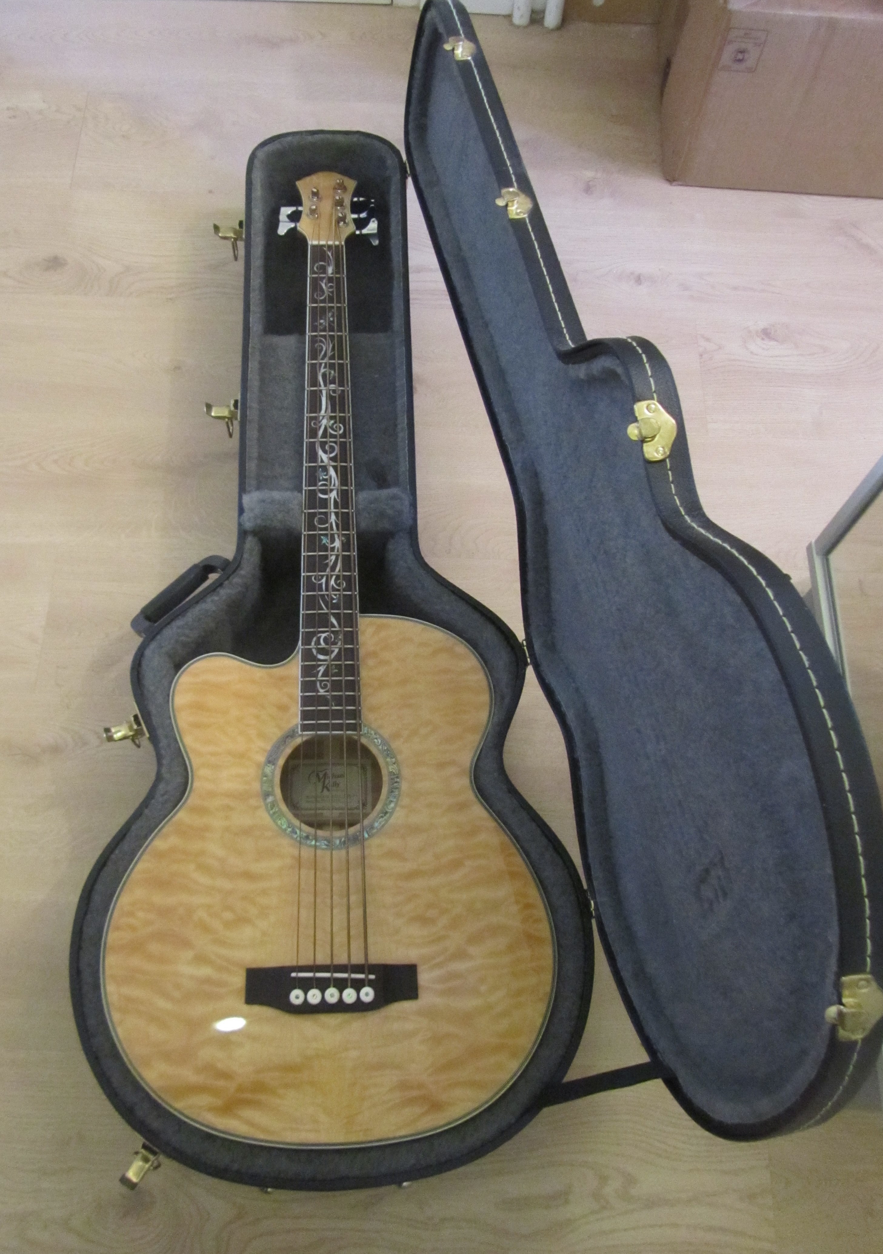 Michael Kelly Guitars Dragonfly 5 cordes GAUCHER image (269230) Audiofanzine