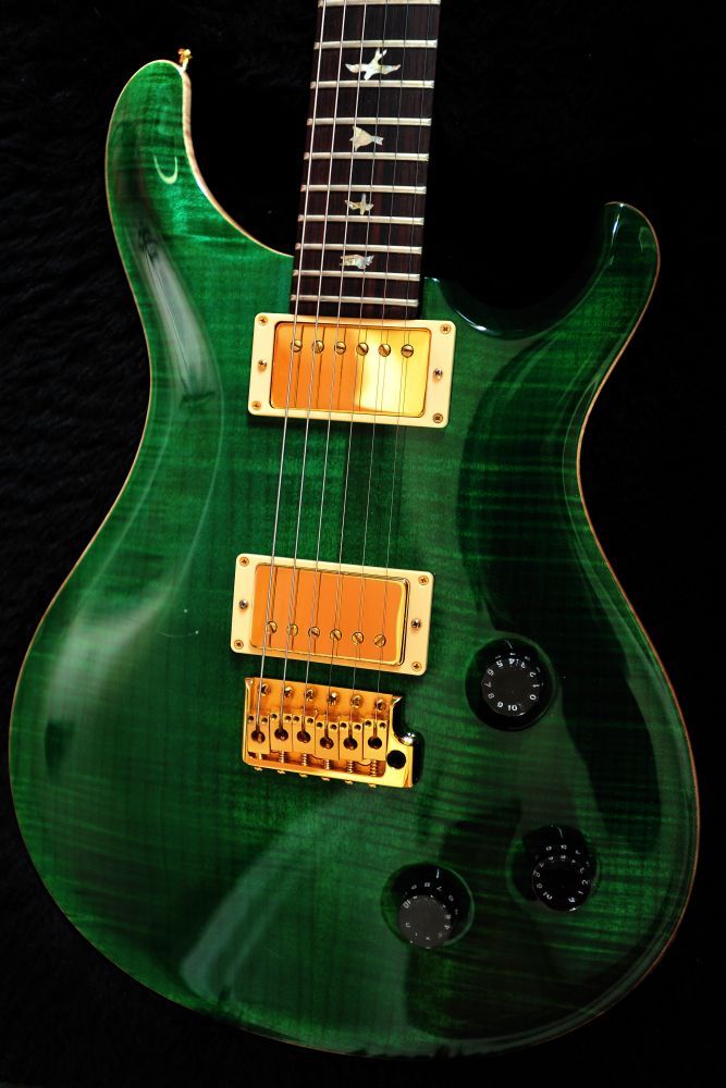 PRS Custom 22 emerald Green GOLD hardware Steven Wilson image (225360