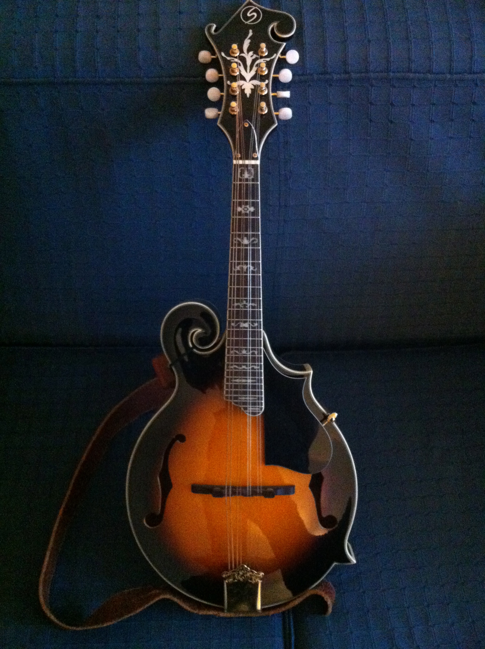 Samick Mandolin Style F image (702658) Audiofanzine