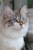 123 posts au compteur