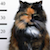 88 posts au compteur