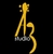 A3_Studio