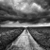 57 posts au compteur