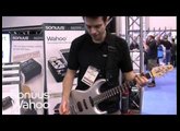 Introducing Sonuus Wahoo