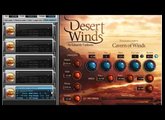 Best Service Desert Winds library review