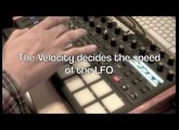 DSI Tempest DreamProbe Sounds: Basses