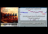 Desert Winds  - Turkish Ney Legato Demo