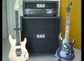 Sample N.O.S Custom amp head/cab