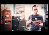 Palmer Eins - 1 Watt Mini Amp Teaser