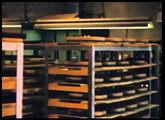 Fender Factory Tour 1959