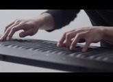 Introducing the Seaboard GRAND