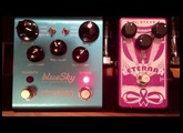 Mr. Black Eterna Shimmer vs Strymon Blue Sky Reverberator