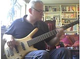 Warwick Corvette standard 5 string