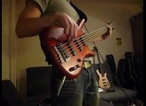 Warwick Corvette std.5  Ash 2006 demoed