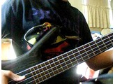 Take The Power Back Bass Cover