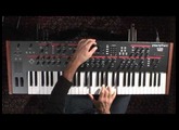 Prophet 12 Features Overview- Dave Smith Instruments