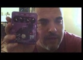 EBS Billy Sheehan Signature Pedal Demo