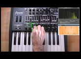 [4/5] Arturia MiniBrute TUTORIEL : Sections Controls & Vibrato / Brute Factor