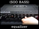 EBS Reidmar 250 - Class D Bass Amp.