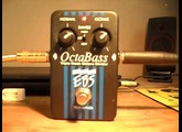 EBS OCTABASS - FRETTED BASS TEST